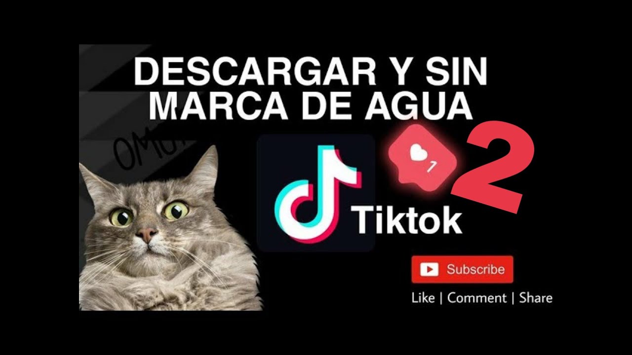 Descargar Tiktoks Sin Marca De Agua Telegram