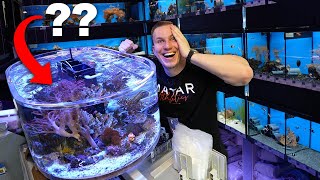 What will we find? - GERMAN FISH STORE