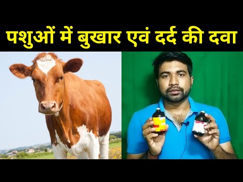 वीडियो: लोक उपचार के साथ शिशुओं का इलाज कैसे करें