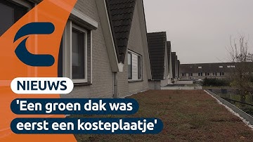 Theo en André leggen een groen dak aan voor een kwart van de prijs dankzij subsidie | Connect