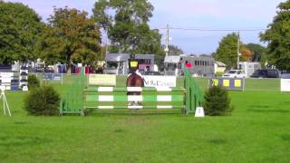 South Of England Open Novice SJ 2013