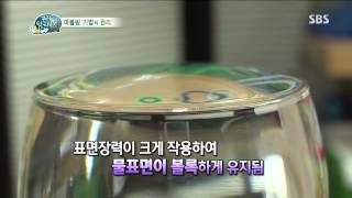꾸러기 탐구생활 130724 #16(2)