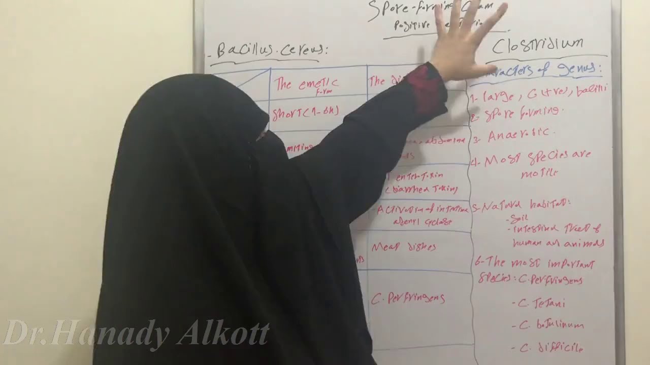 😢🥺Bacillus.cereus and Clostridium😱😱