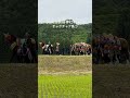 #チャグチャグ馬コ #鬼越蒼前神社 #盛岡八幡宮 #vlog #旅行