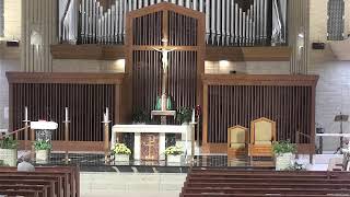Daily Mass