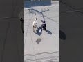 Helping the cow and his baby | #shortsviral #viral