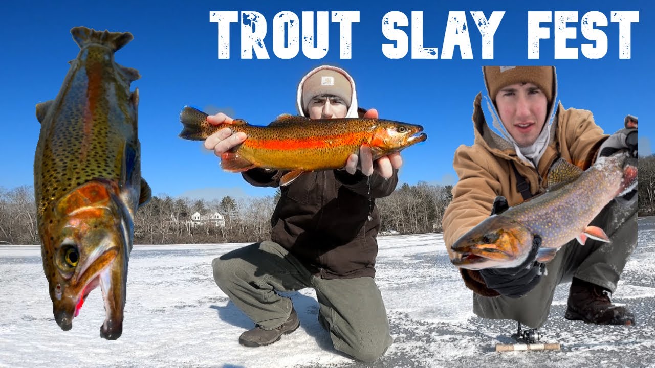Jigging Rainbows & Sight Fishing Brookies | RI Ice Fishing