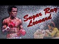 Sugar Ray Leonard Knockouts | Knockdowns