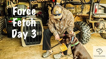FORCE FETCH Day 3 (Retriever Training)