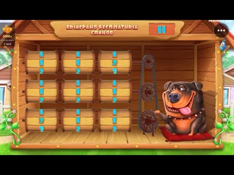 Начните играть в покер и онлайн-казино в России на POKERDOM: ваше место для увлекательных игр!