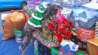 'Home 4 the Holidays' adoption campaign kicks off with HUGE pet food, litter donation by Helen Woodward Animal Center 61 views 6 months ago 2 minutes, 20 seconds