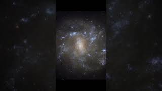 NGC 2500, A Beautiful Barred Lynx Spiral Galaxy Snaps by Hubble, #shorts