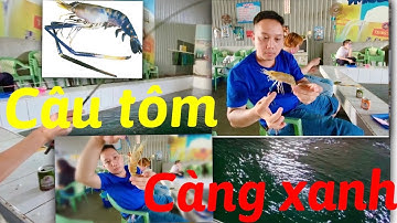 Câu tôm càng xanh tập 1