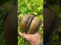 Incredible Muddy Underground Big golden catfish catch by hand #fish #fishing #reels #video #shorts
