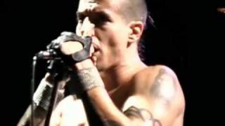 Red Hot Chili Peppers - Under The Bridge - Live Off The Map [HD]