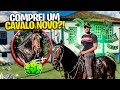 COMPREI um CAVALO NOVO ?