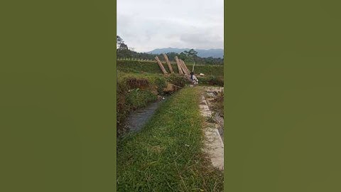 🐍 kobra penunggu spot ci kao #fishingadventure #macingmania #mancing