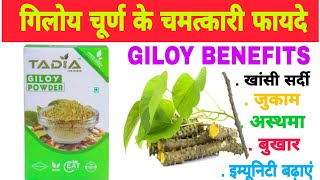 Tadia Herbs Giloy Powder Benefits In Hindi