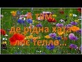 "А там, де рідна хата..." Павло Доскоч