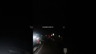 Tak Genggem Tanganmu Tak Elus Pipi Mu tulus Story Wa Durasi 30 Detik