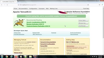 Login  to tomcat 8 set up the manager role for user and password solved