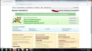 Login  to tomcat 8 set up the manager role for user and password solved