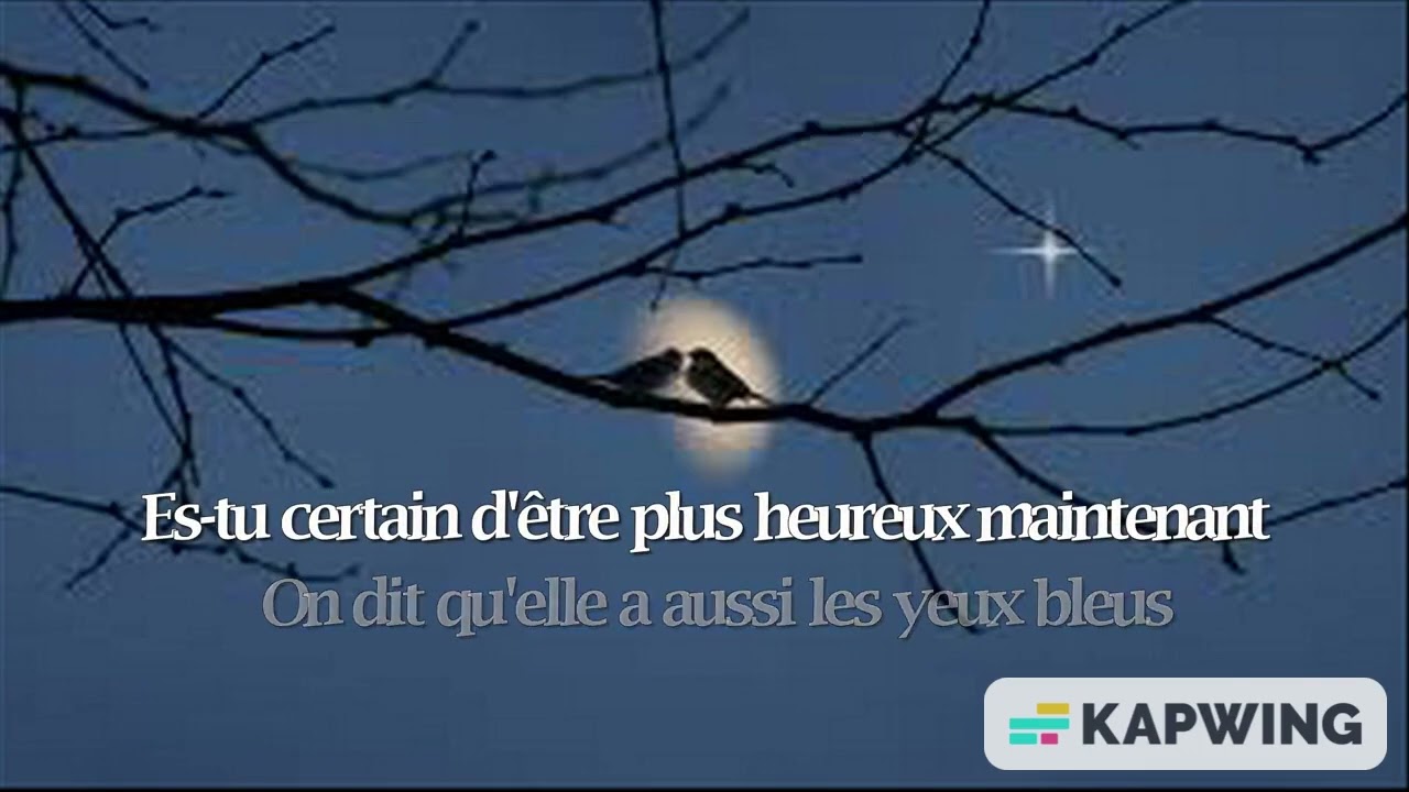 Je Ne Pourrais Jamais T'oublier - Mưa trên biển vắng Karaoke