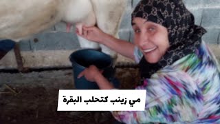 مي زينب مشات تحلب البقرة 🐄شوفو المفاجئة😂من #قناة_فريدة_وحماتها