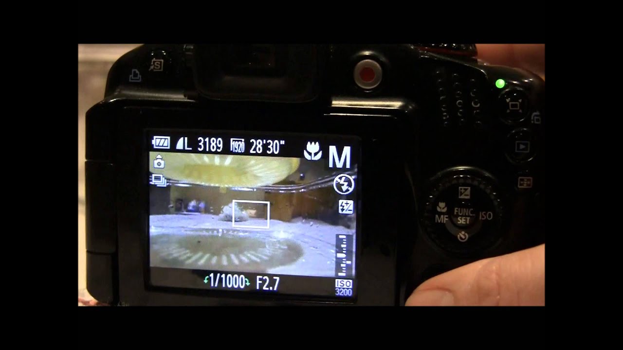 Canon Powershot SX40 HS Tutorial: Step Thirty Three - Using shutter