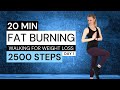 20 min  2500 steps  knee friendly walking workout for beginners  workout from home low impact