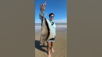 Using MASSIVE Bait At The Beach And This HAPPENED...(Part 1)