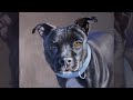 DOG (PIT BULL)| PAINTING PROCESS | ACRYLIC PAINTING | FOR BEGENNERS | # 18