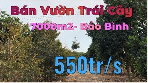 Bán Vườn Trái Cây 7009m2 Xã Bảo Bình Cẩm Mỹ - Giá Chỉ 550tr/s | nhà đất đnb