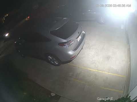 Hit and Run Exultant 02/28/26