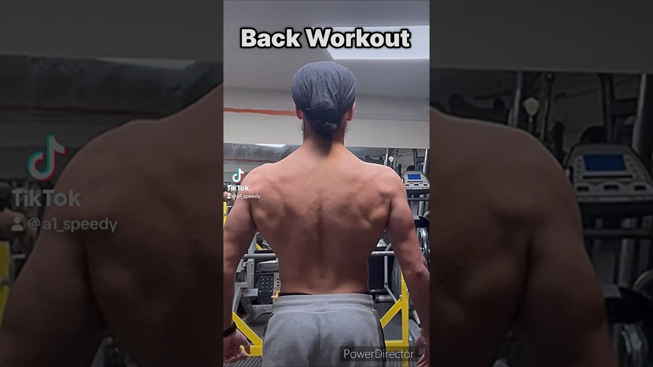 Back Workout No Weights YouTube