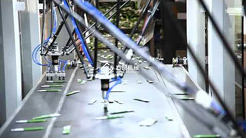 Pick and Place Delta robot for sachet sorting