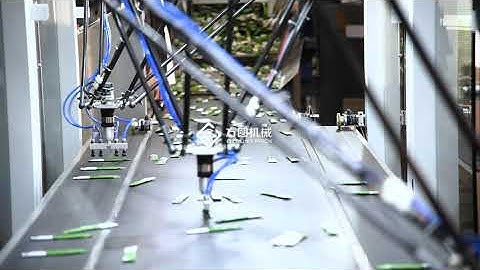 Pick and Place Delta robot for sachet sorting