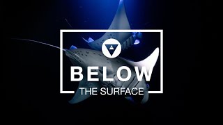 Below The Surface - Salty Soul Sandy Feet 