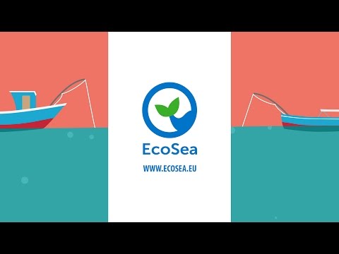 EcoSea-스팟