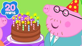 Peppa Pigs Celebrates Daddy Pigs Birthday Cartoons For Kids Fun Animation Peppa Pig Videos