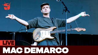 Mac DeMarco - 'My Old Man' (Laneway 2018)