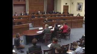 2013.12 04 Rep. Robin Kelly (D-IL) - Questions to the Witness Panel