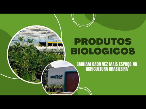 Produtos biológicos ganham cada vez mais espaço nas lavouras