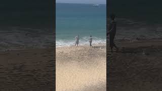 IMG 0347