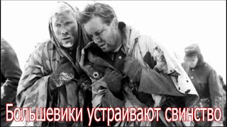 Большевики устраивают свинство. Военные истории Великой Отечественной Войны