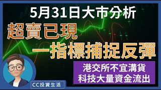 5月31日 – 超賣已現，一指標捕捉反彈 | 港交所不宜溝貨 | 科技股大量資金流出 | 散戶入場電信 內銀 [ 中文字幕 ] #港交所 #反彈 #大跌市