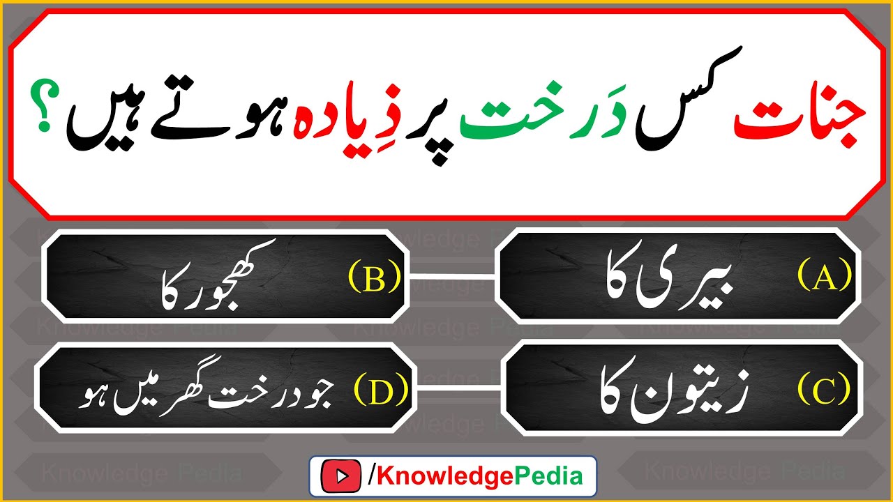 Urdu Funny Questions To Ask On Instagram Funny Jokes Status In Urdu 2025, image size:1280x720