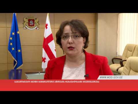 საგამოძიებო ჯგუფი ცენტრალური აფრიკის რესპუბლიკაში მიემგზავრება