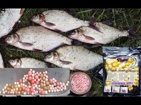 Огромный карась и лещ на пенопласт и пуфф 2 серия