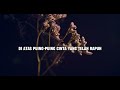 Rossa & Pasha - Terlanjur Cinta (Lyrics Video) Mp3 Song